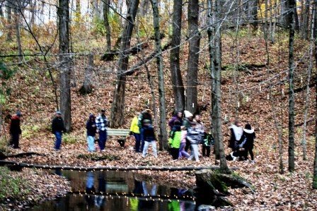 Luminary Walk - Lights Over Creek